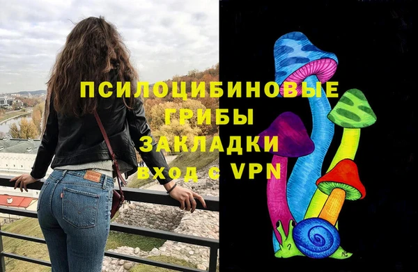 трава Гусиноозёрск