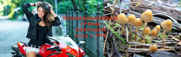 трава Гусиноозёрск