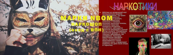 трава Гусиноозёрск