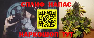 тгк Краснодар