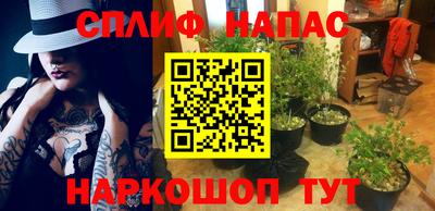 тгк Краснодар
