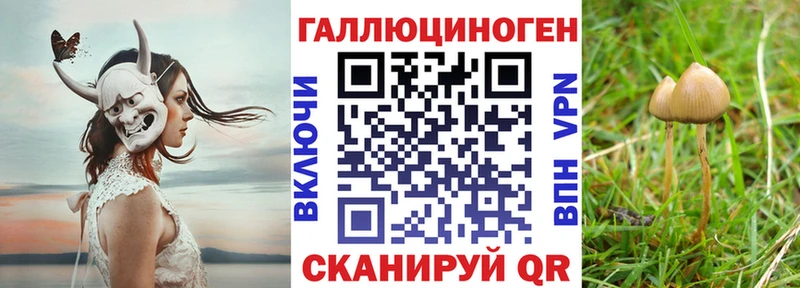Галлюциногенные грибы Cubensis  купить наркотики сайты  Мончегорск 